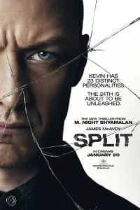 Split (2016) Dual Audio {Hindi-English} WEB-DL 480p - 720p - 1080p poster