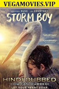 Storm Boy (2019) Dual Audio {Hindi-English} 480p - 720p poster