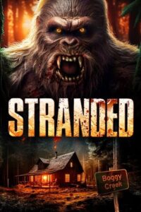 Stranded (2023) Dual Audio {Hindi-English} BluRay 480p - 720p - 1080p poster