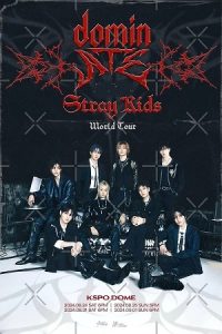 Stray Kids: The dominATE Experience (2026) WEB-DL {English With Subtitles} Full Movie 480p - 720p - 1080p poster