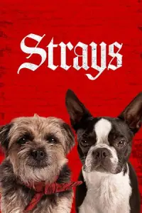 Strays (2023) poster