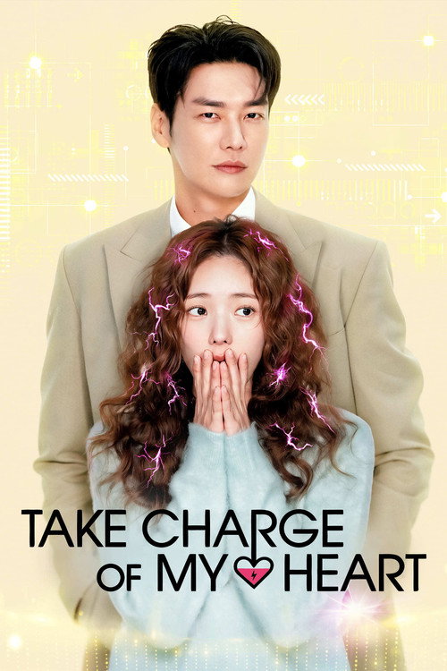 Take Charge of My Heart (Season 1) Dual Audio {Hindi-Korean} K-Drama Series 480p 720p & 1080p WEB-DL poster