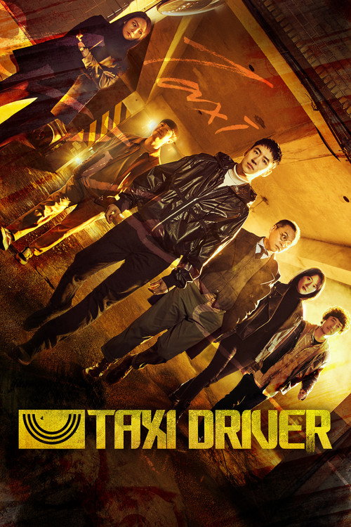 Taxi Driver (Season 1) Dual Audio {Hindi-Korean} K-Drama Series 480p 720p & 1080p WEB-DL poster