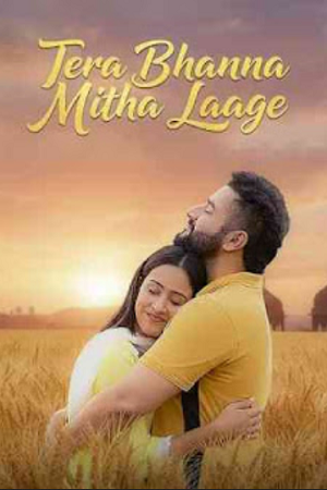 Tera Bhanna Mitha Laage (2025) poster