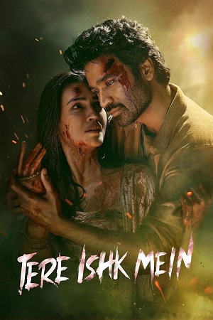 Tere Ishk Mein (2025) Netflix WEB-DL {Hindi DD5.1} Full Movie 480p - 720p - 1080p 2160p 4K poster