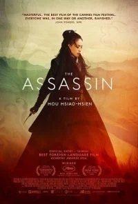 The Assassin (2015) Dual Audio {Hindi-English} 480p - 720p poster