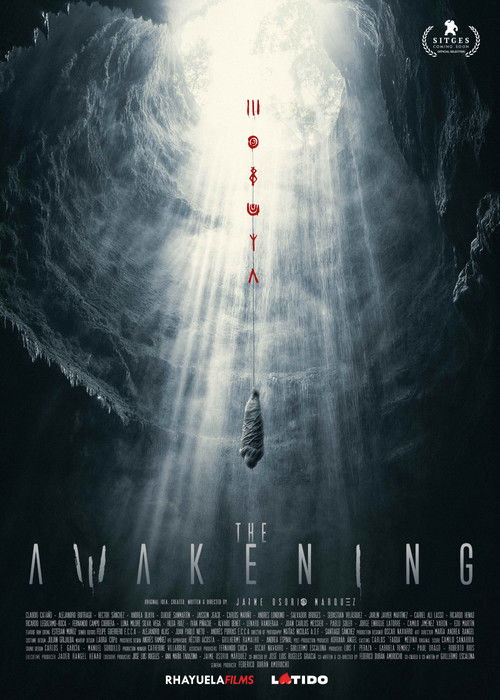 The Awakening (2026) poster