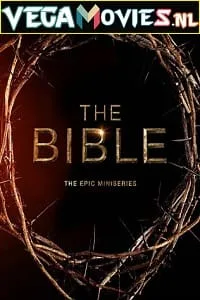The Bible (2013) Season 1 Dual Audio {Hindi-English} 720p WEB-DL poster