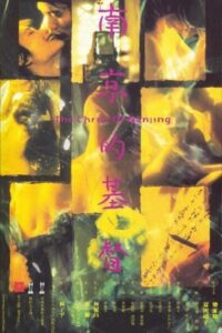 The Christ of Nanjing (1995) BluRay Dual Audio {Hindi-Chinese} 480p - 720p - 1080p poster