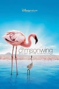 The Crimson Wing (2008) Dual Audio {Hindi-English} 480p - 720p poster