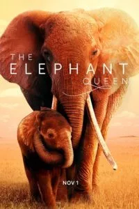 The Elephant Queen (2019) poster