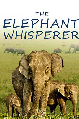The Elephant Whisperers (2022) WEB-DL Dual Audio {Hindi + English} 480p - 720p - 1080p - 2160p 4K poster