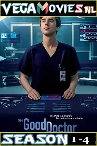 The Good Doctor (Season 1 – 4) {English With Subtitles} Complete Series 480p - 720p poster