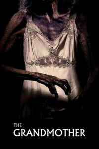 The Grandmother (2019) Dual Audio {Hindi-English} BluRay 480p - 720p - 1080p poster