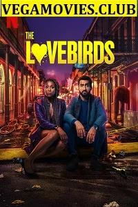 The Lovebirds (2020) Netflix English Full Movie 480p - 720p poster