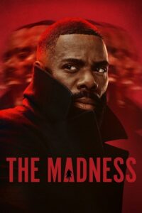 The Madness (2024) Season 1 Netflix Original Dual Audio {Hindi-English} WEB Series – 480p - 720p - 1080p WEB-DL poster