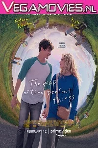 The Map of Tiny Perfect Things (2021) poster