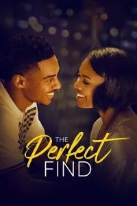The Perfect Find (2023) Netflix Original Dual Audio {Hindi-English} 480p - 720p - 1080p WEB-DL poster