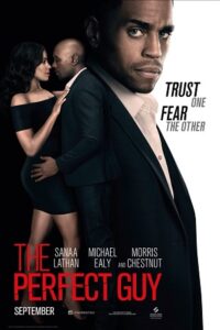 The Perfect Guy (2015) poster