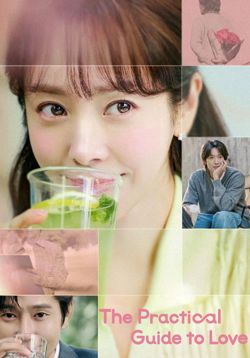 The Practical Guide to Love (Season 1) Dual Audio {Hindi-Korean} K-Drama Series 480p 720p & 1080p WEB-DL poster