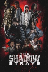 The Shadow Strays - NetFlix Original (2024) WEB-DL Dual Audio {Hindi-English} 480p - 720p - 1080p - 10Bit + + H264 poster