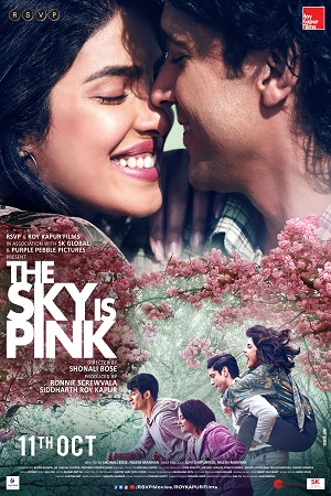 The Sky Is Pink (2019) Hindi Full Movie 480p - 720p - 1080p poster