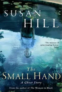 The Small Hand (2019) Dual Audio {Hindi-English} 480p - 720p poster