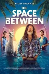 The Space Between (2017) poster