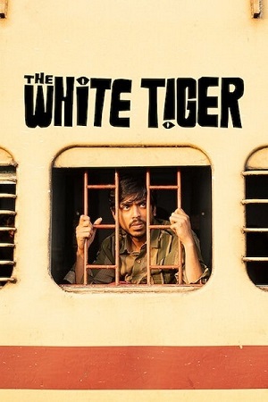 The White Tiger (2021) Hindi Full Movie WEB-DL 480p - 720p - 1080p poster