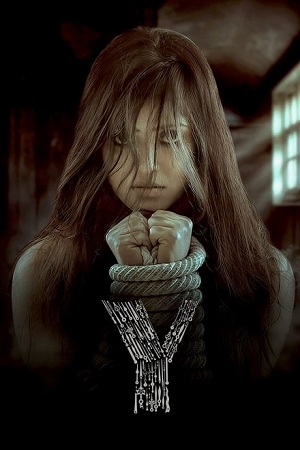 The Y (2023) AMZN WEB-DL [Hindi-DD 5.1] Full Movie 480p - 720p - 1080p poster