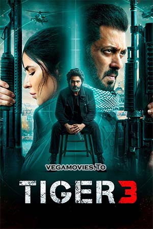 Tiger 3 (2023) Hindi AMZN WEB-DL 480p - 720p - 1080p - 2160p 4K UHD poster