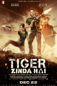 Tiger Zinda Hai (2017) BluRay Hindi Full Movie 480p - 720p - 1080p poster