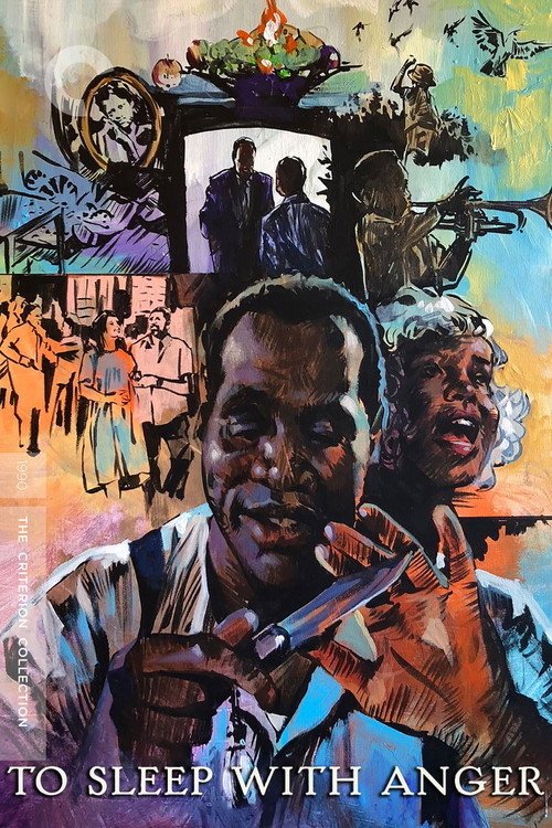 To Sleep with Anger (1990) Blu-Ray Dual Audio {Hindi-English} 480p - 720p - 1080p poster