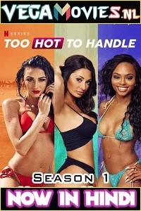 [18+] Too Hot to Handle (2020) poster