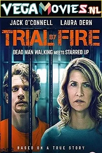 Trial by Fire (2018) Dual Audio [Hindi-English] 480p - 720p - 1080p poster