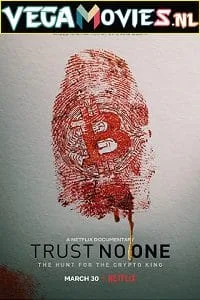 Netflix Trust No One: The Hunt for the Crypto King (2022) poster