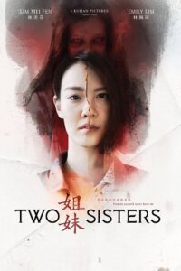 Two Sisters (2019) WEB-DL Dual Audio {Hindi-Chinese} 480p - 720p - 1080p poster