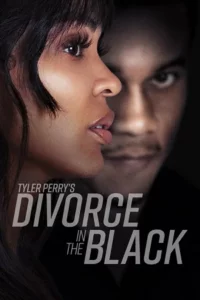 Tyler Perry’s Divorce in the Black – Prime Video (2024) WEB-DL Dual Audio {Hindi-English} 480p - 720p - 1080p poster