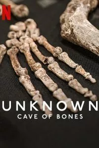 Unknown: Cave of Bones (2023) WEB-DL Dual Audio {Hindi-English} 480p - 720p - 1080p poster