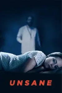 Unsane (2018) BluRay Dual Audio {Hindi-English} 480p - 720p - 1080p poster