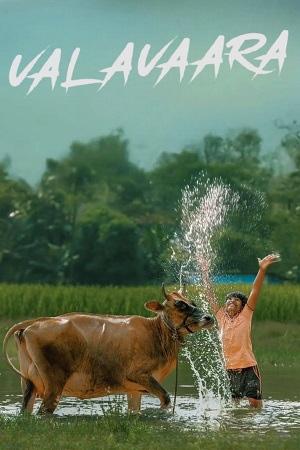 Valavaara (2026) Dual Audio [Hindi + Kannada] WeB-DL 480p - 720p - 1080p poster