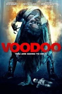VooDoo (2017) WEB-DL Dual Audio {Hindi-English} 480p - 720p - 1080p poster