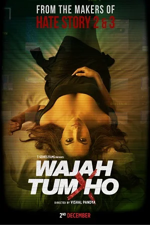 Wajah Tum Ho (2016) poster