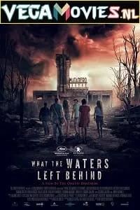 What the Waters Left Behind (2017) poster