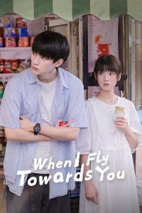 When I Fly Towards You (Season 1) Dual Audio {Hindi-Chinese} C- Series 480p 720p & 1080p WEB-DL poster