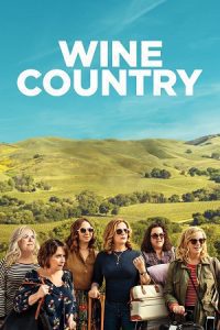 Wine Country (2019) Dual Audio {Hindi-English} BluRay 480p - 720p - 1080p poster
