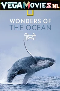 Wonders of the Ocean (2021) Season 1 Hindi Complete DSNP WEB Series 480p - 720p HDRip poster