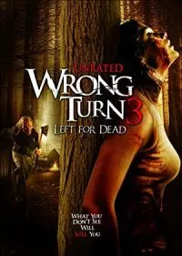 Wrong Turn 3: Left for Dead (2009) Full Movie In English 480p - 720p - 1080p poster