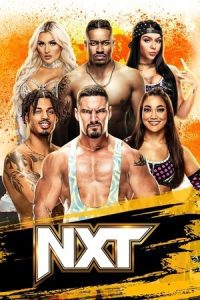 WWE NxT Live (3rd February 2026) Hindi+English Full WWE Show 480p - 720p - 1080p WEB-DL poster