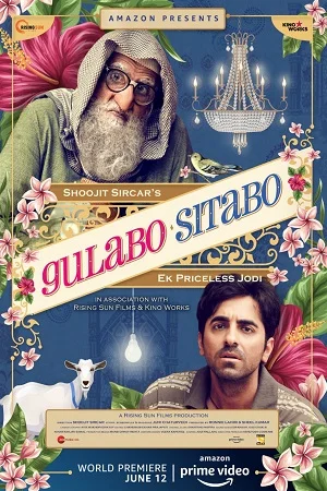 Gulabo Sitabo (2020) AMZN WEBRip Hindi Full Movie 480p - 720p - 1080p poster
